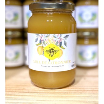 Miel de Citronnier - Atelier des abeilles
