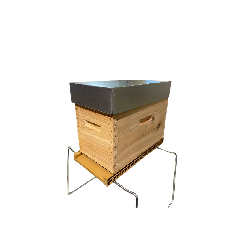 Ruchette D6 Corps Tenons (plancher plastique, corps cryptoméria, couvre cadre nourrisseur, toit)