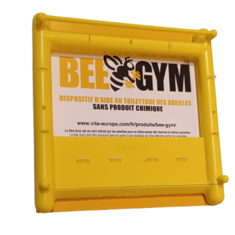 Bee gym